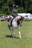 thornton-le-dale-gala showclass7acharity25-5-20081